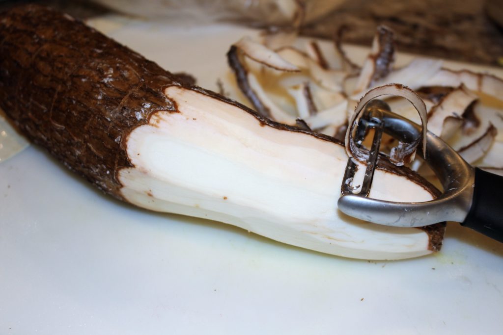 Yucca