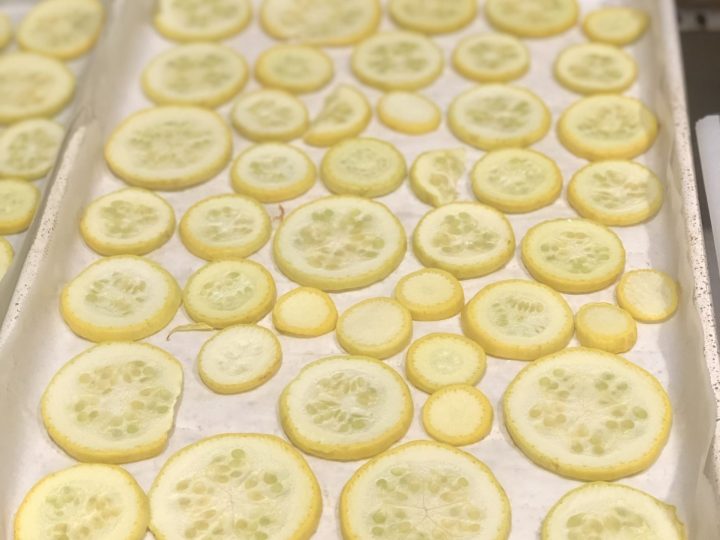 Learn How to Freeze Squash 3 ways for long term storage so that you can preserve all that wonderful squash to use for Frying or to use in Soups, Stews & Casseroles. Easy Step by Step Instructions. #squash #freezingsquash #longtermstorage #preservingfood #preservingsquash #yellowsquash #summersquash #zucchini #thehealthnutmama